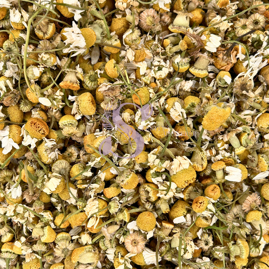 Chamomile Flower Whole