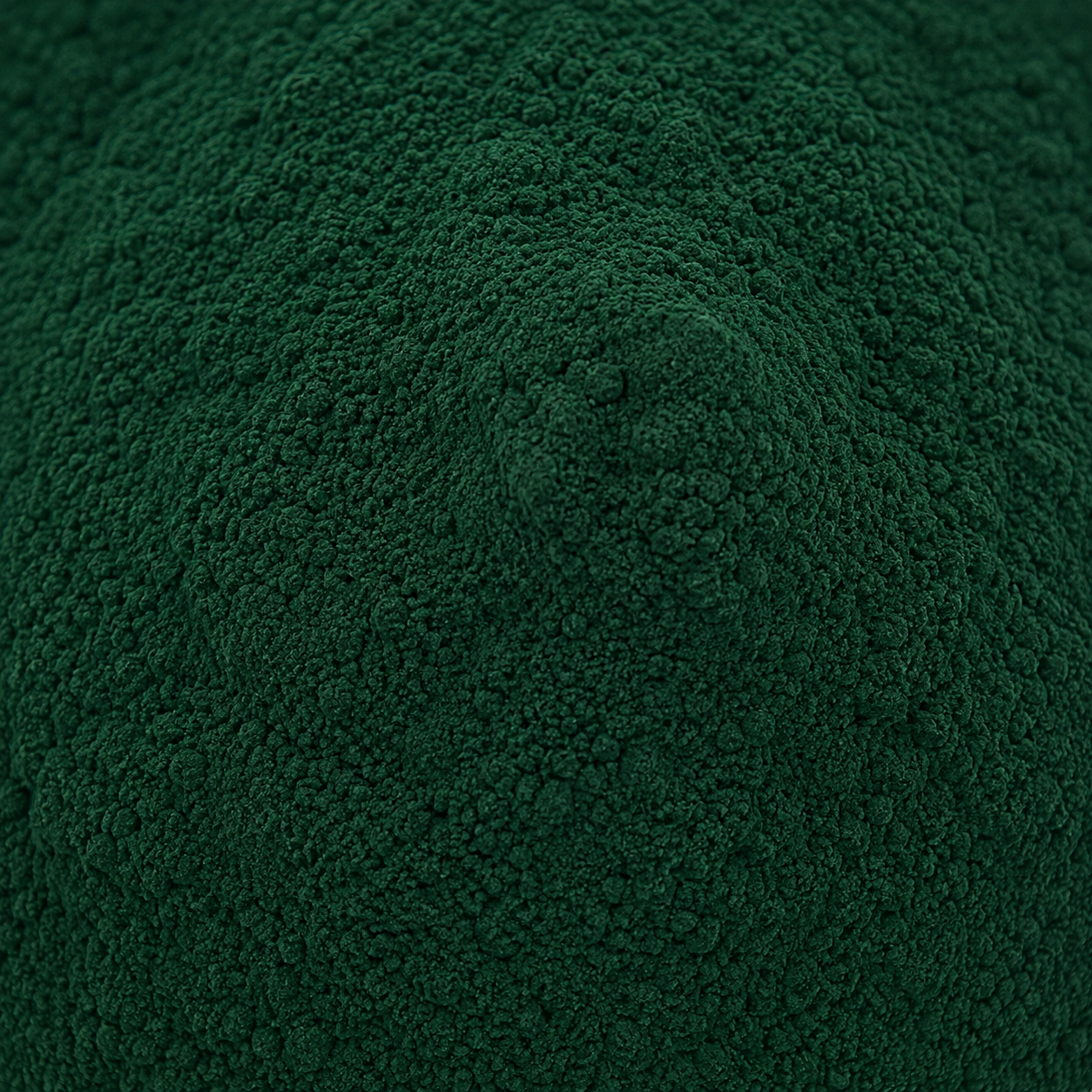 Spirulina Powder