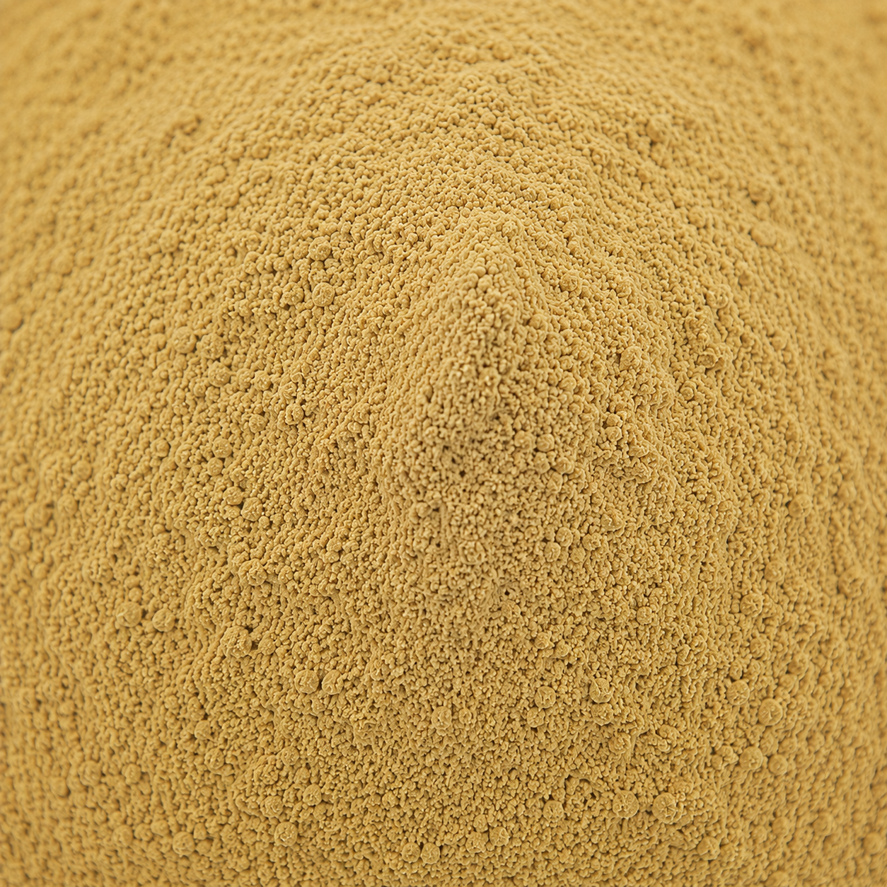Tongkat Ali Extract Powder (4:1)