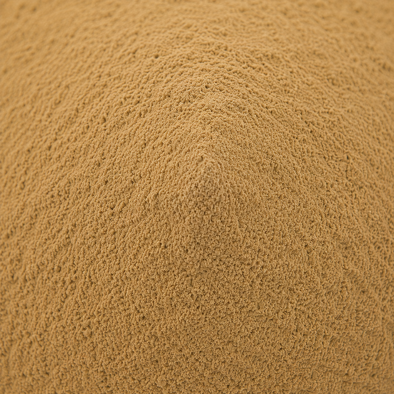 Wild Cherry Bark Powder