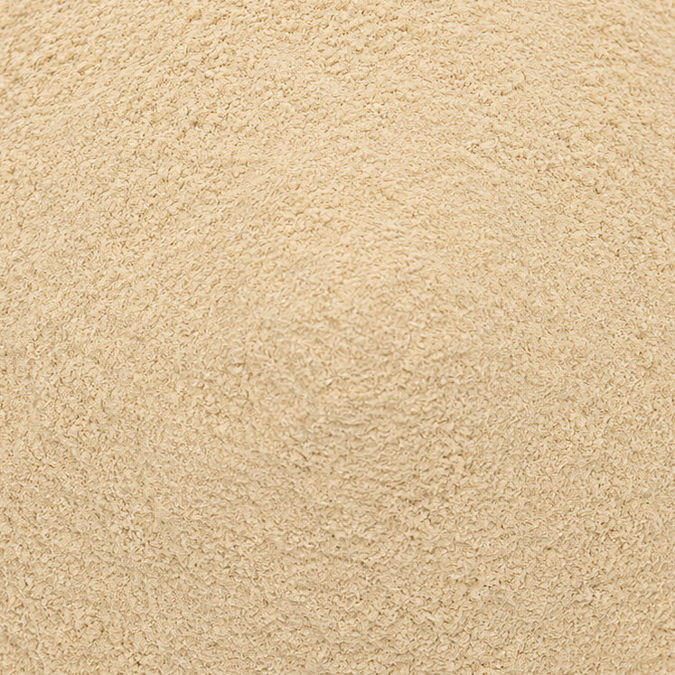 Mushroom Shiitake Powder
