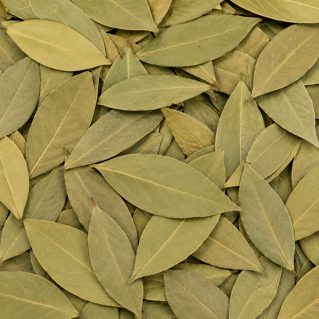 Bay Leaves Whole