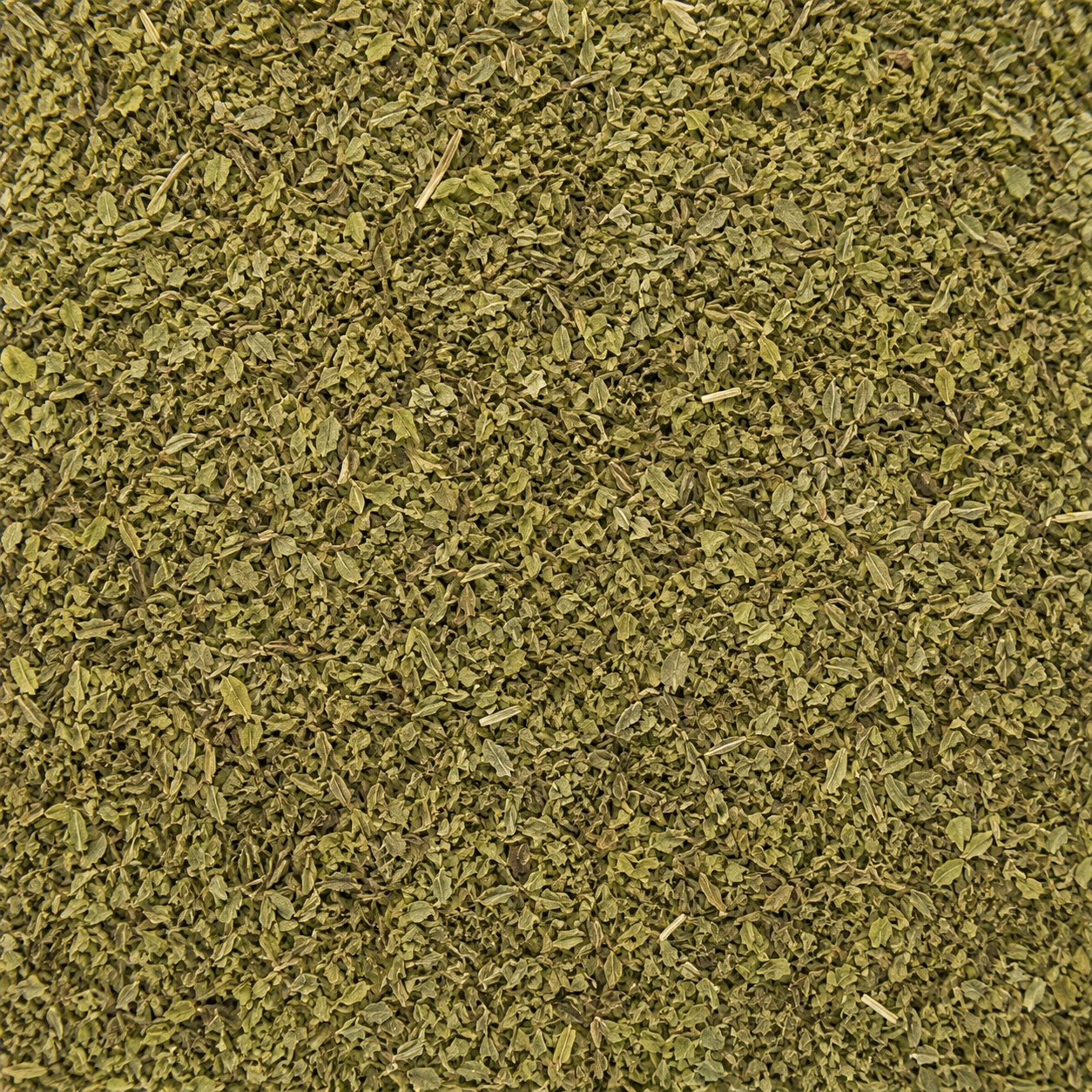Savory Leaves C/S