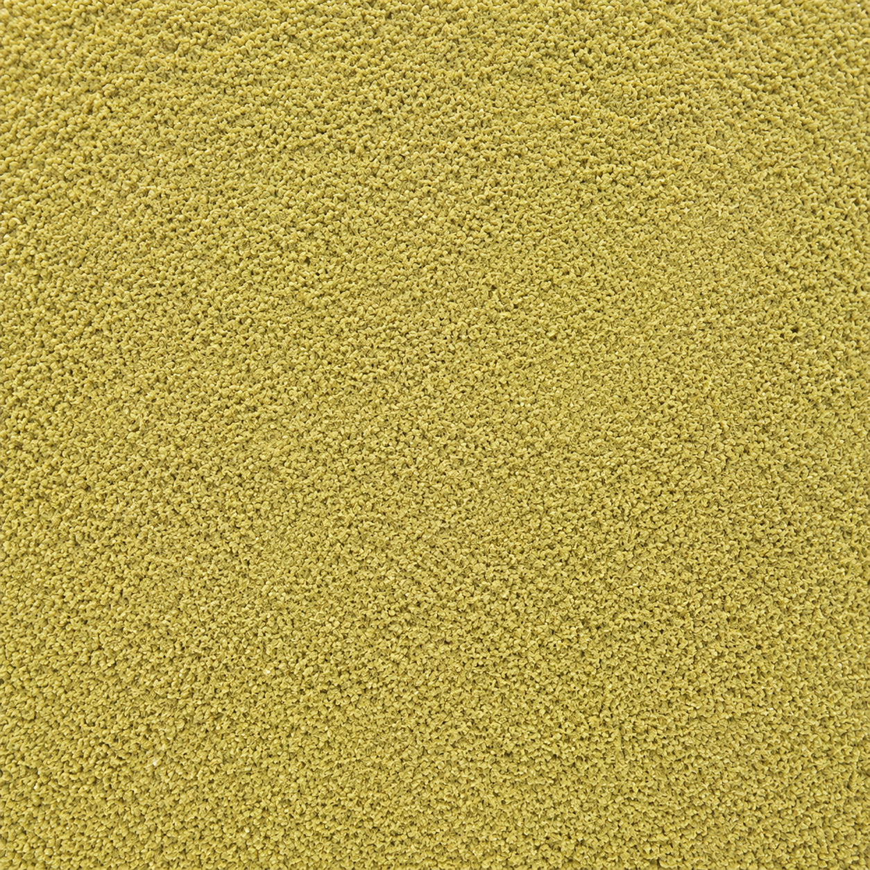 Fennel Seed Powder