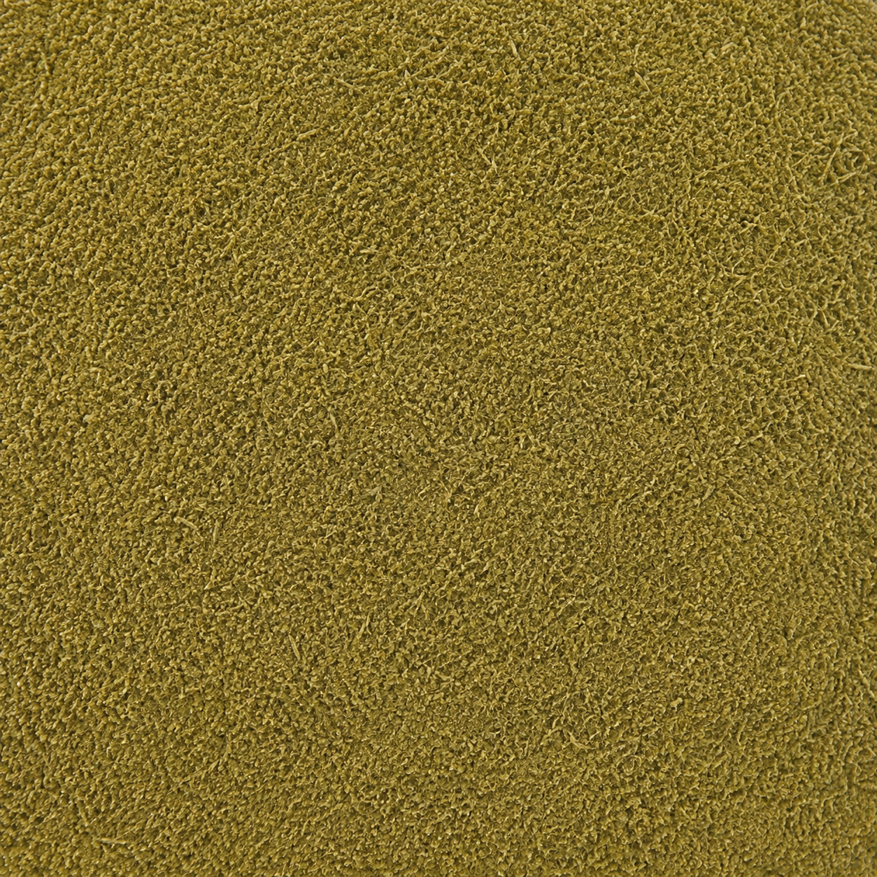 Thyme Leaves Powder