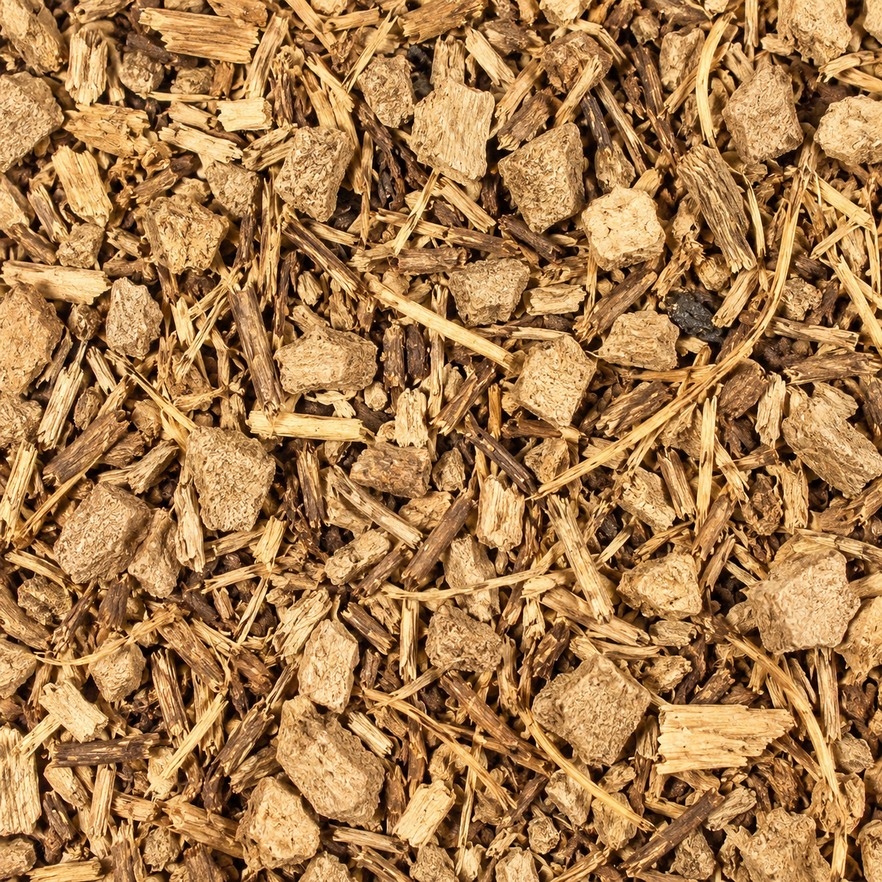 Queen of Meadow (Gravel Root) C/S