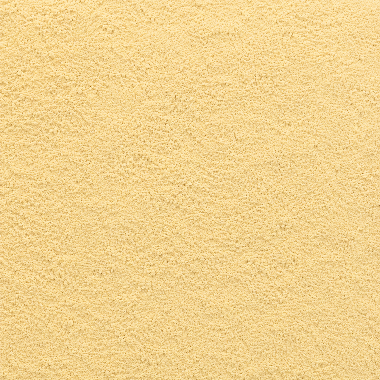 Ginseng Panax Root Powder
