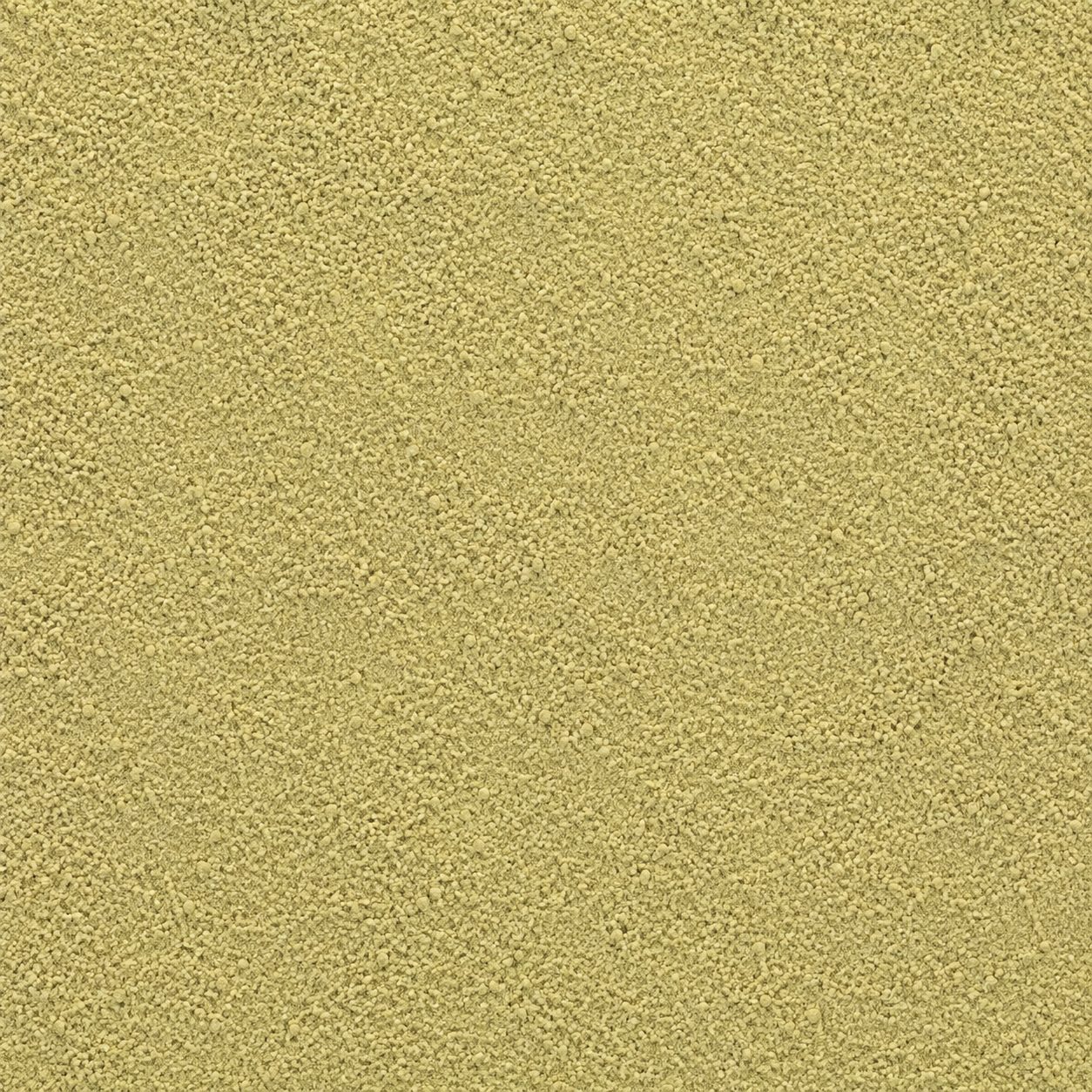 Goldenrod Powder