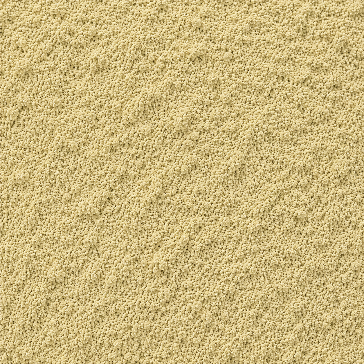 Mucuna Pruriens Powder