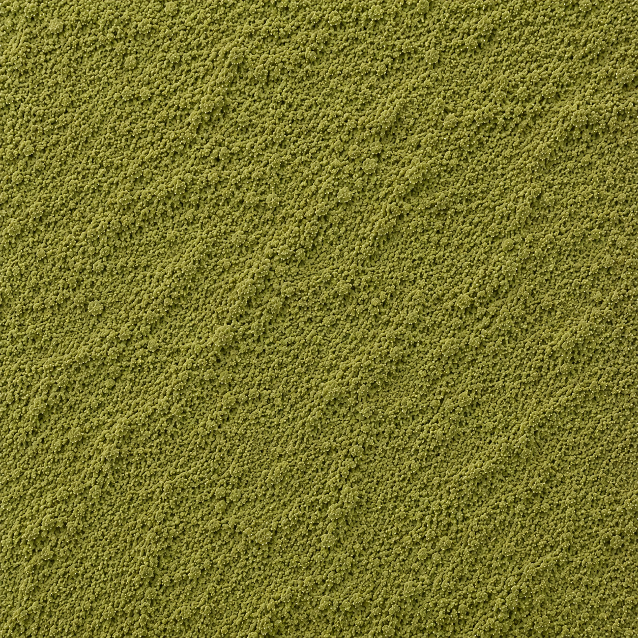 Neem Leaves Powder
