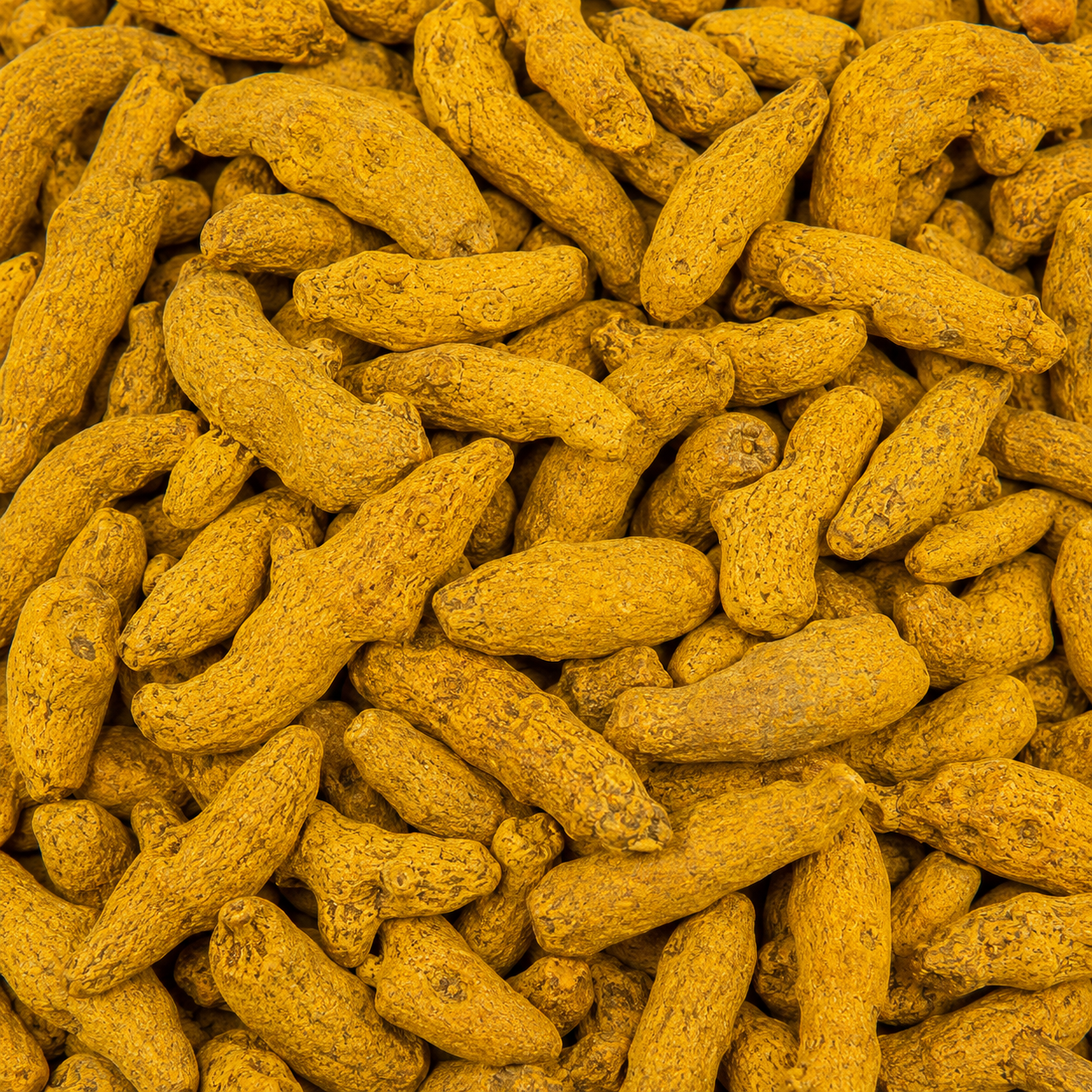 Turmeric Root Whole