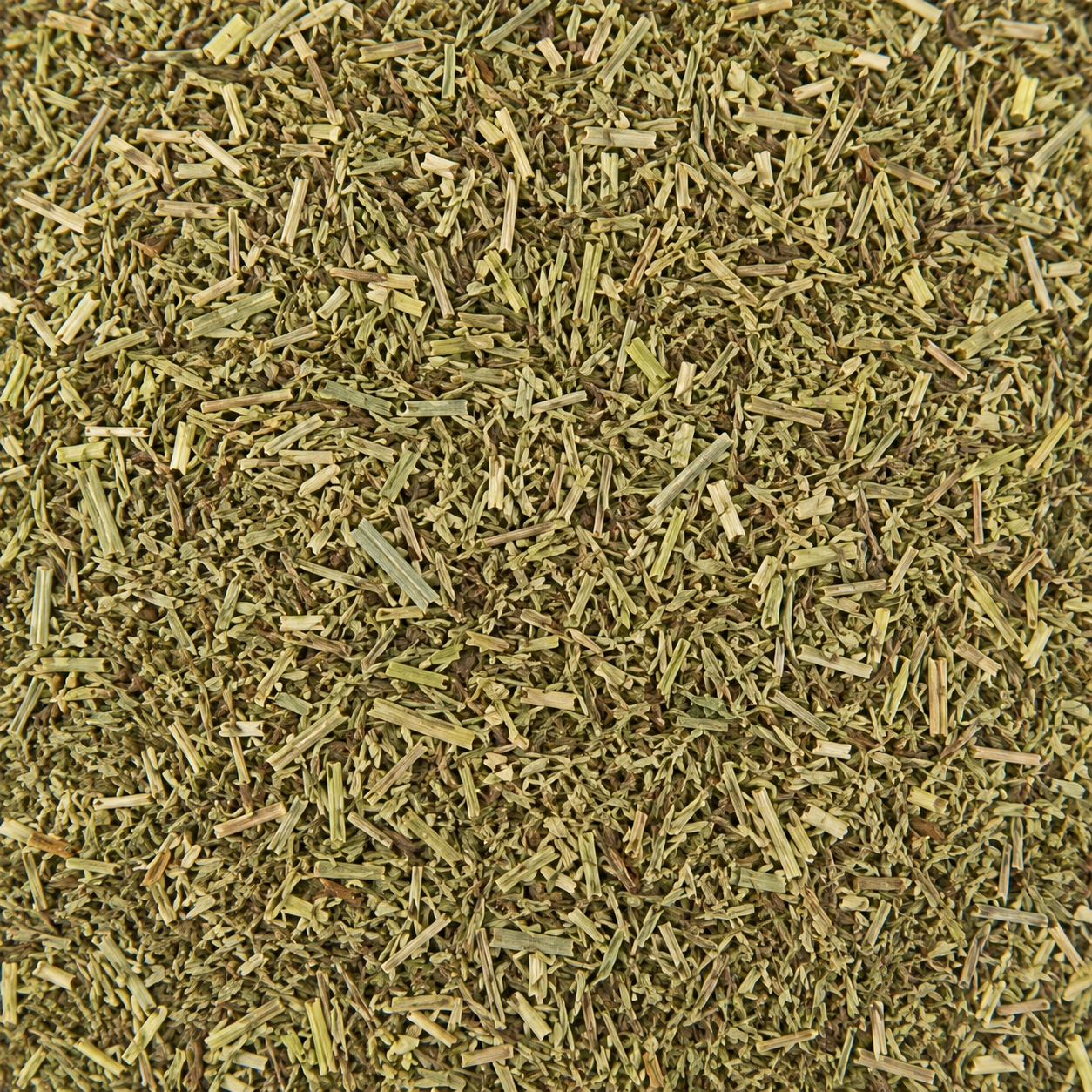 Tarragon C/S