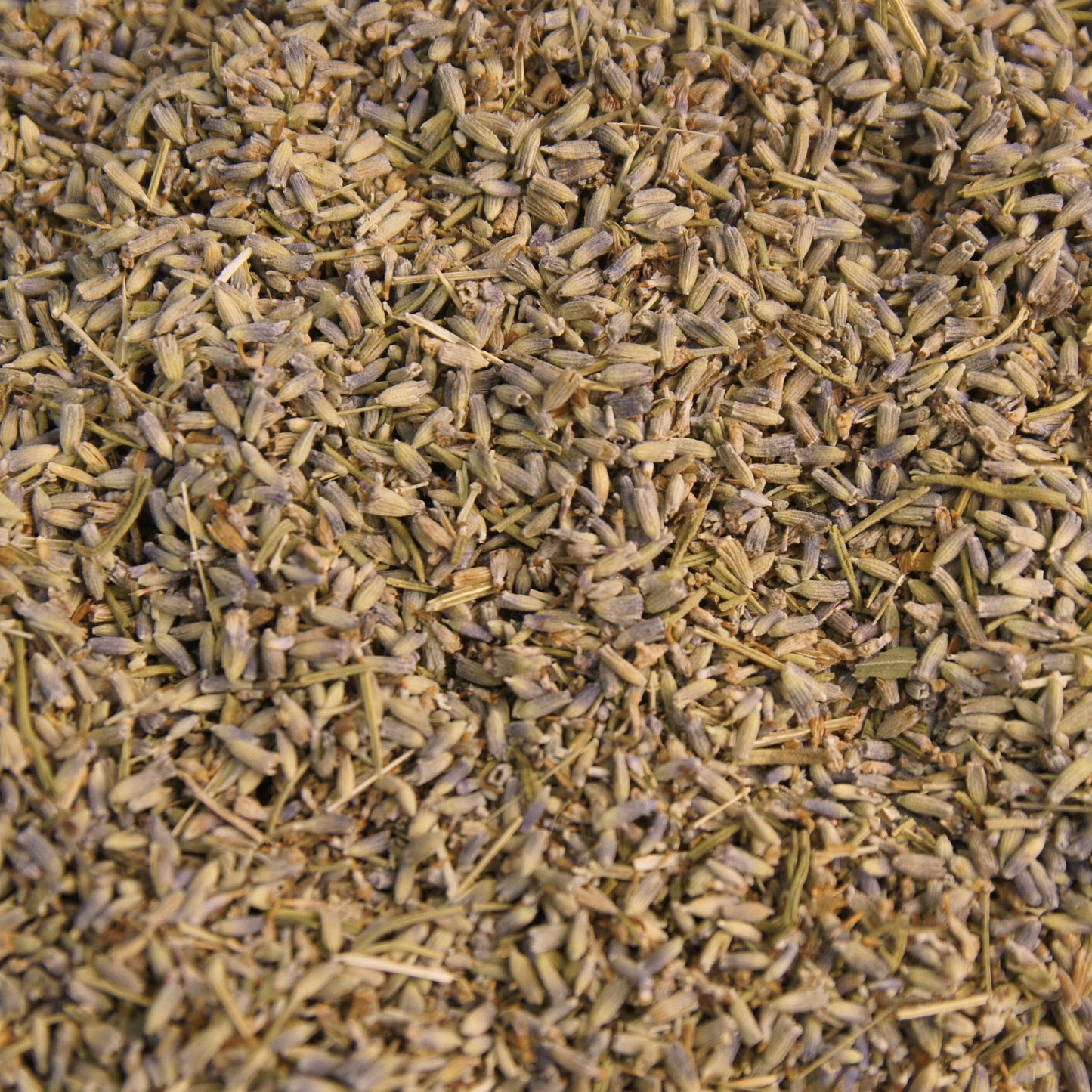 Lavender Flower Whole (Grade 3)