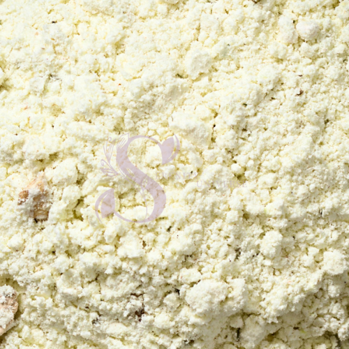 Lion's Mane Mushroom Powder