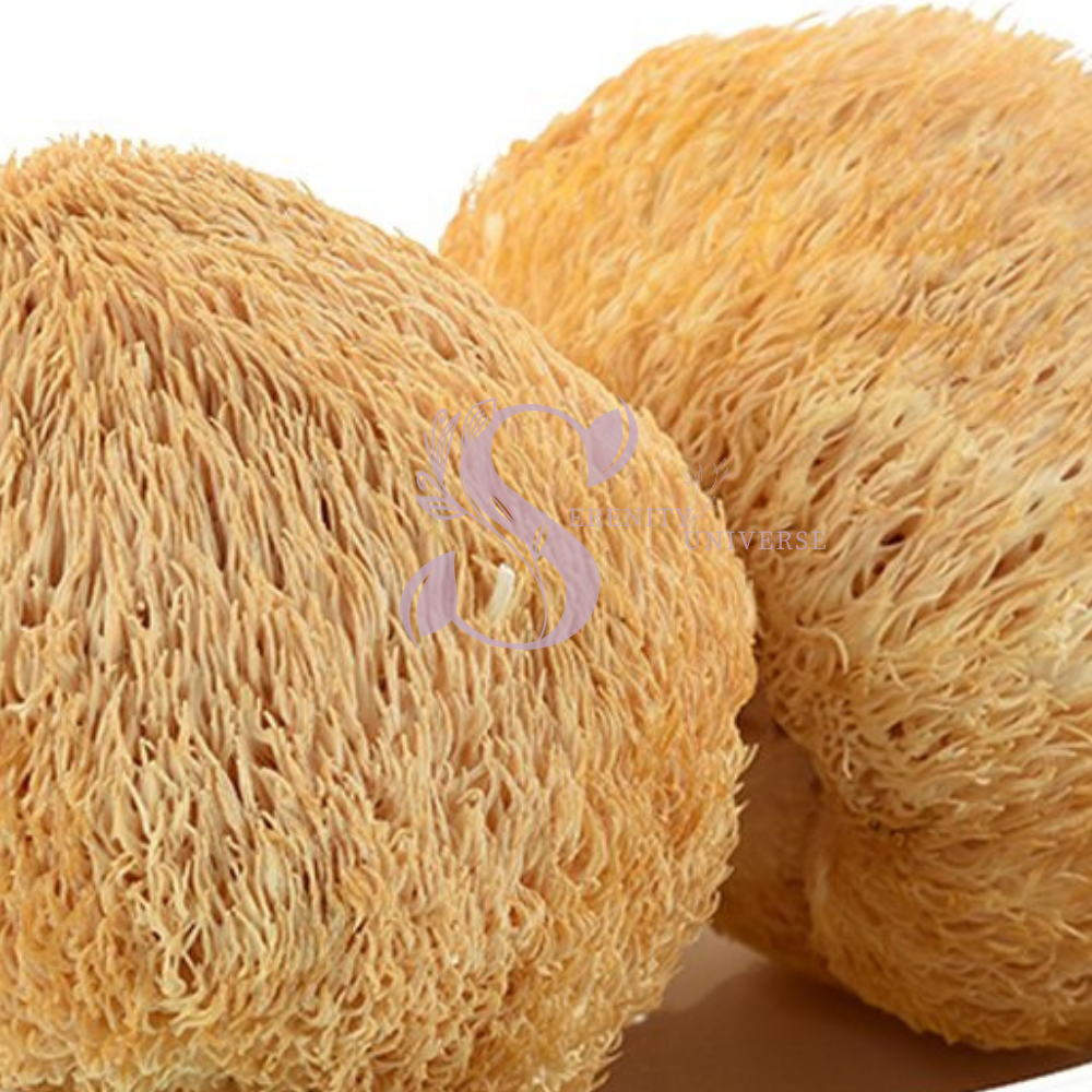 Lion' Mane Mushroom Whole