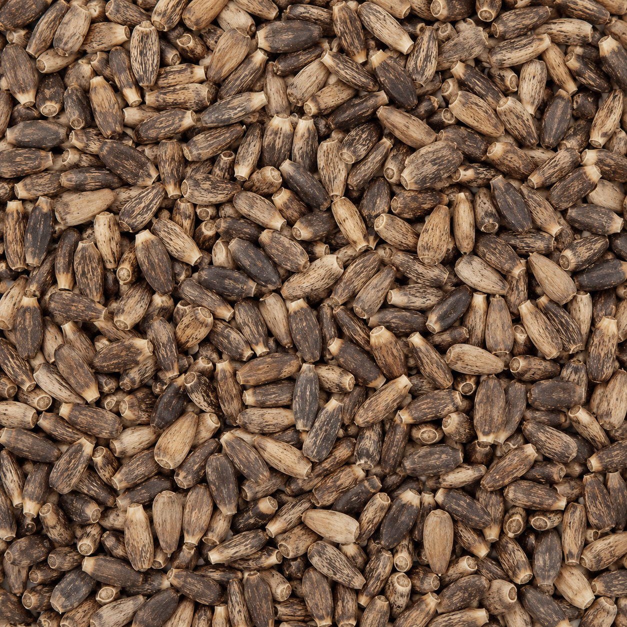 Milk Thistle Seed Whole