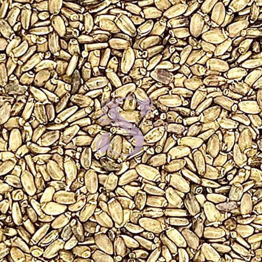 Milk Thistle Seed Whole