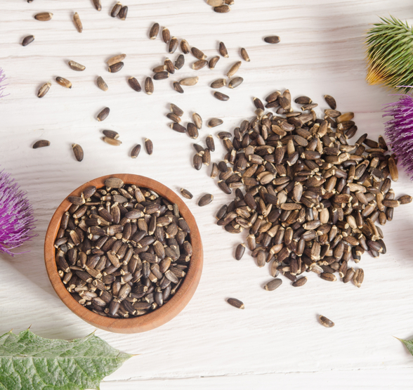 Milk Thistle Herb C/S