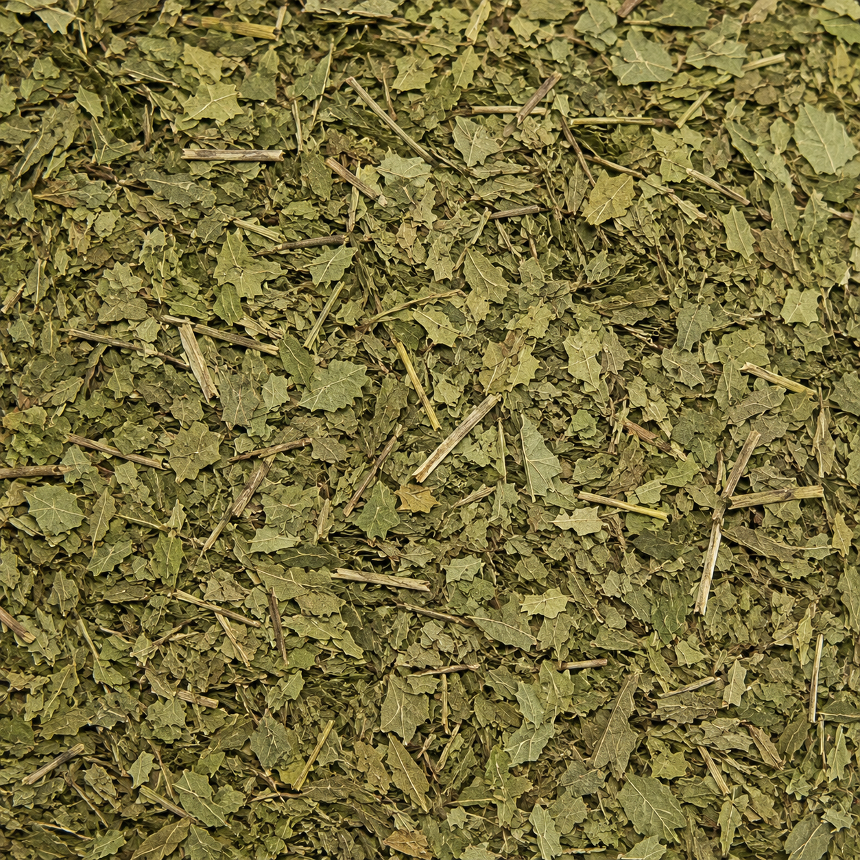 Neem Leaves C/S