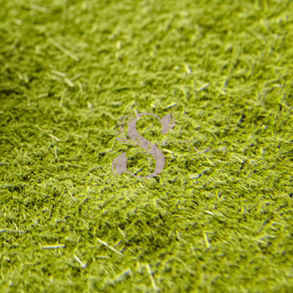 Adulsa Leaves Powder