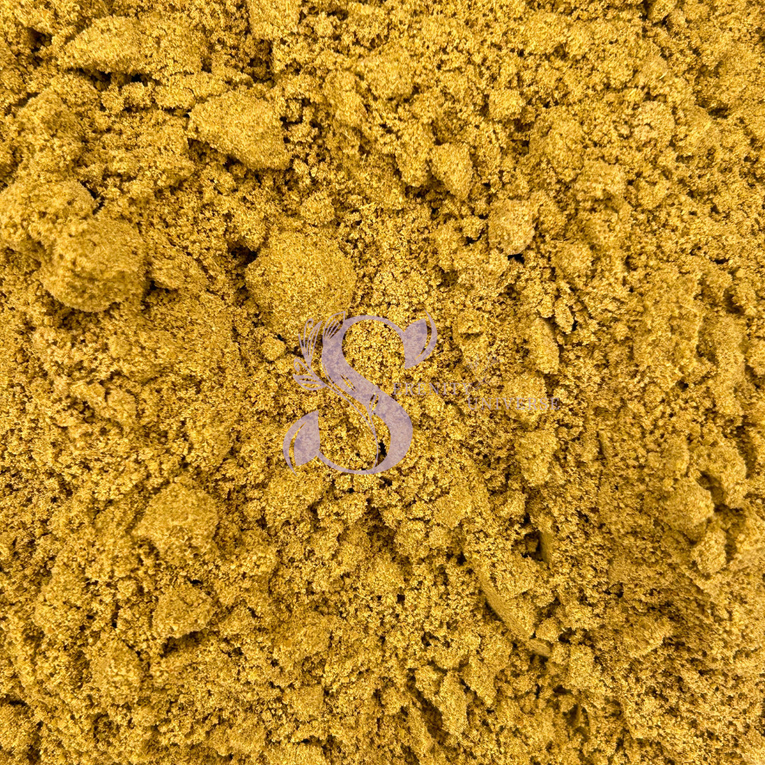 Anise seed Powder