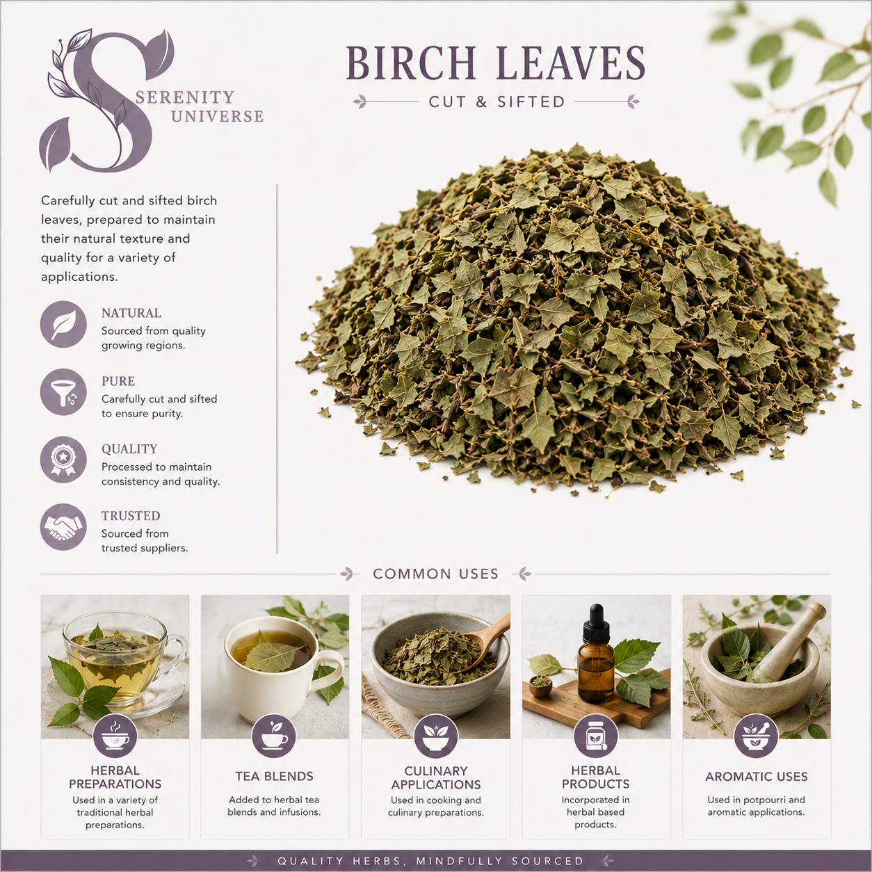 Birch Leaves C/S