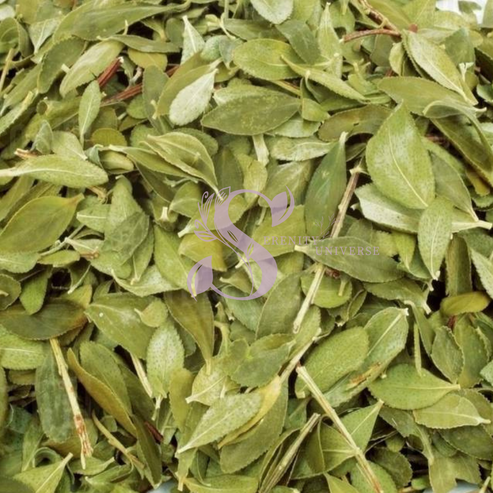 Buchu Leaves Whole