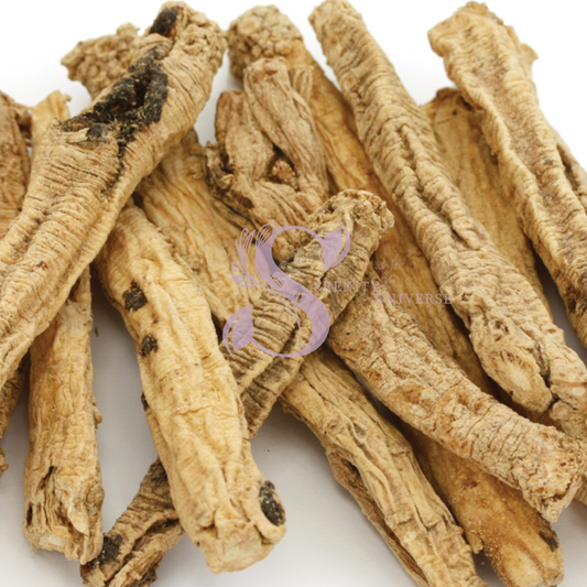 Codanopsis Root Whole