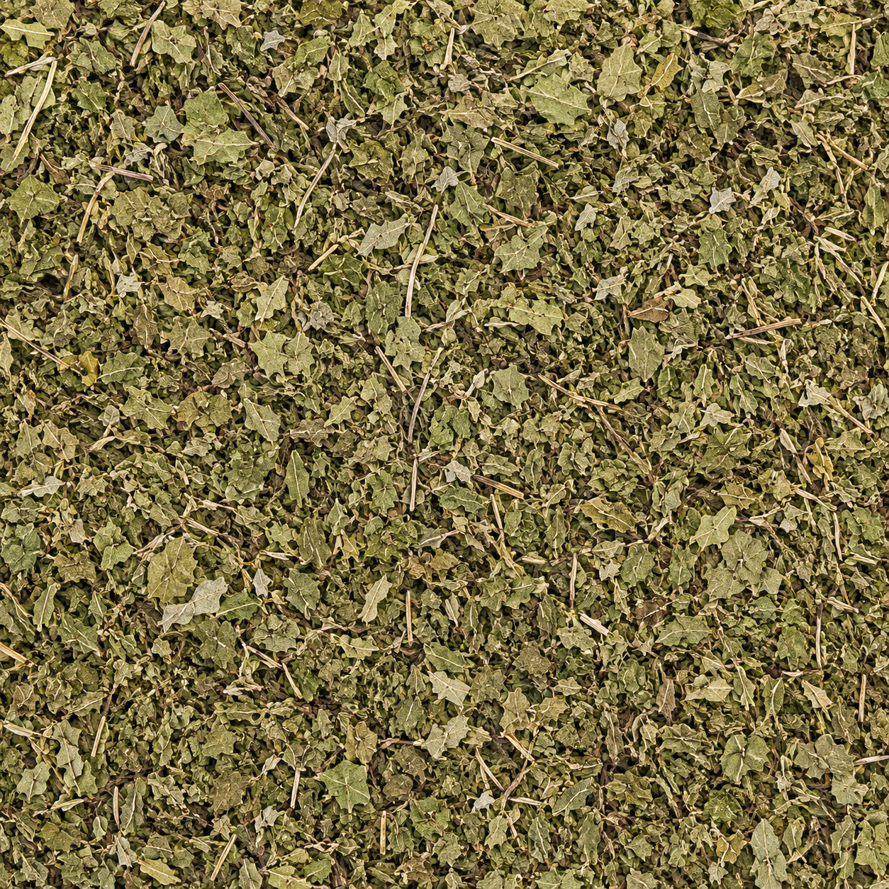 Gotu Kola Leaves C/S