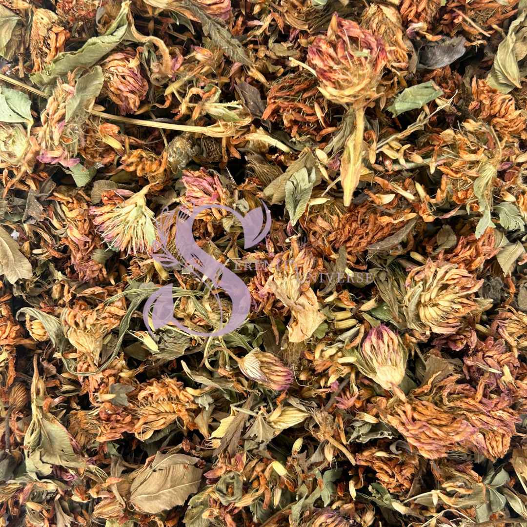 Red Clover Blossoms Whole