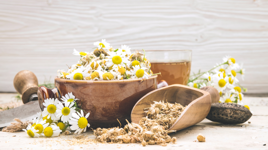 Why does chamomile tea make you sleepy?