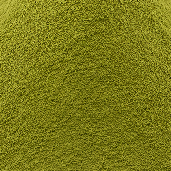 Adulsa Leaves Powder