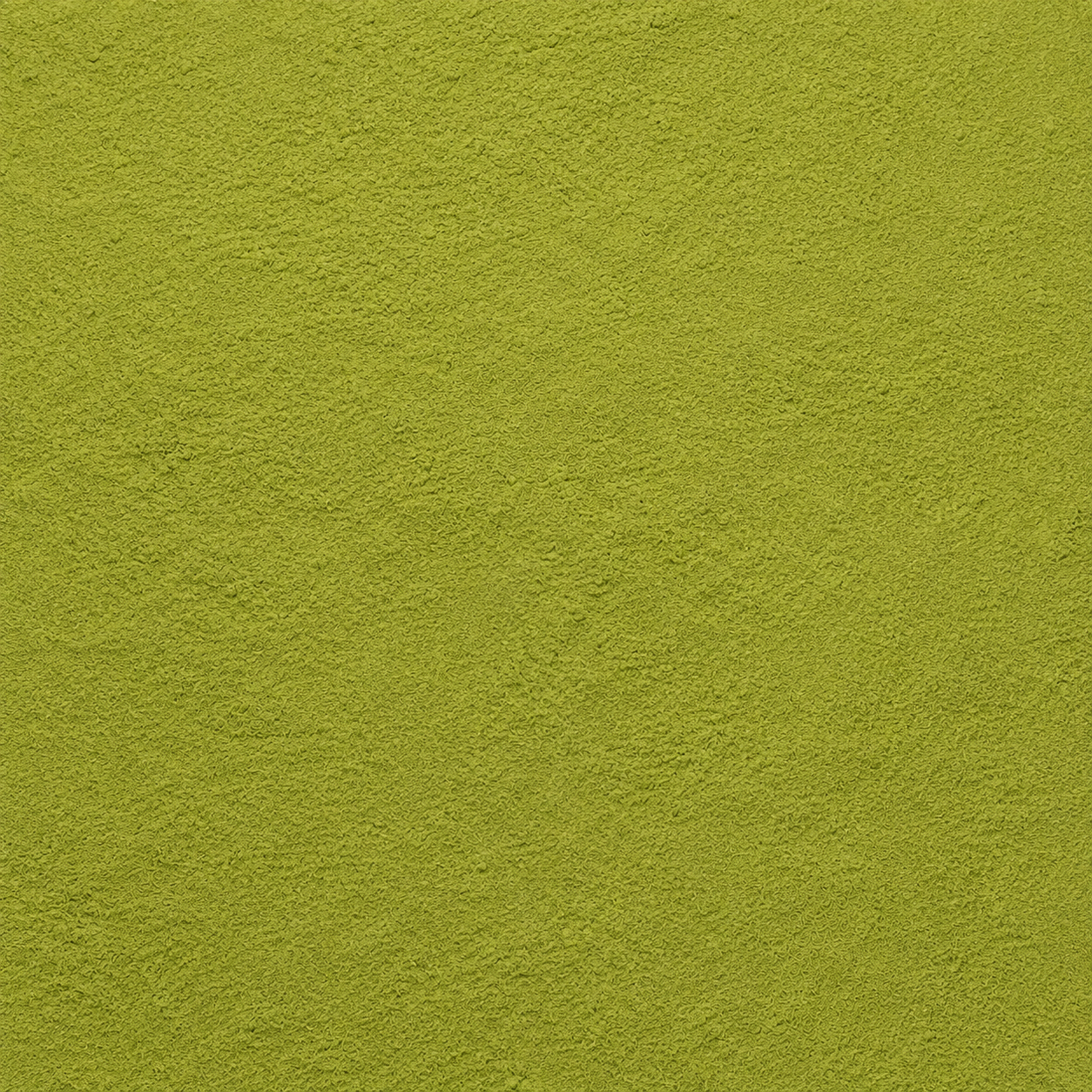 Amla Powder (Indian Gooseberry)