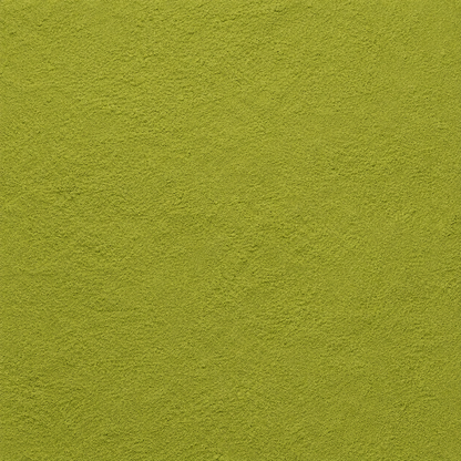 Amla Powder (Indian Gooseberry)