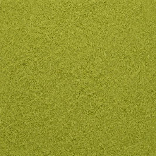 Amla Powder (Indian Gooseberry)