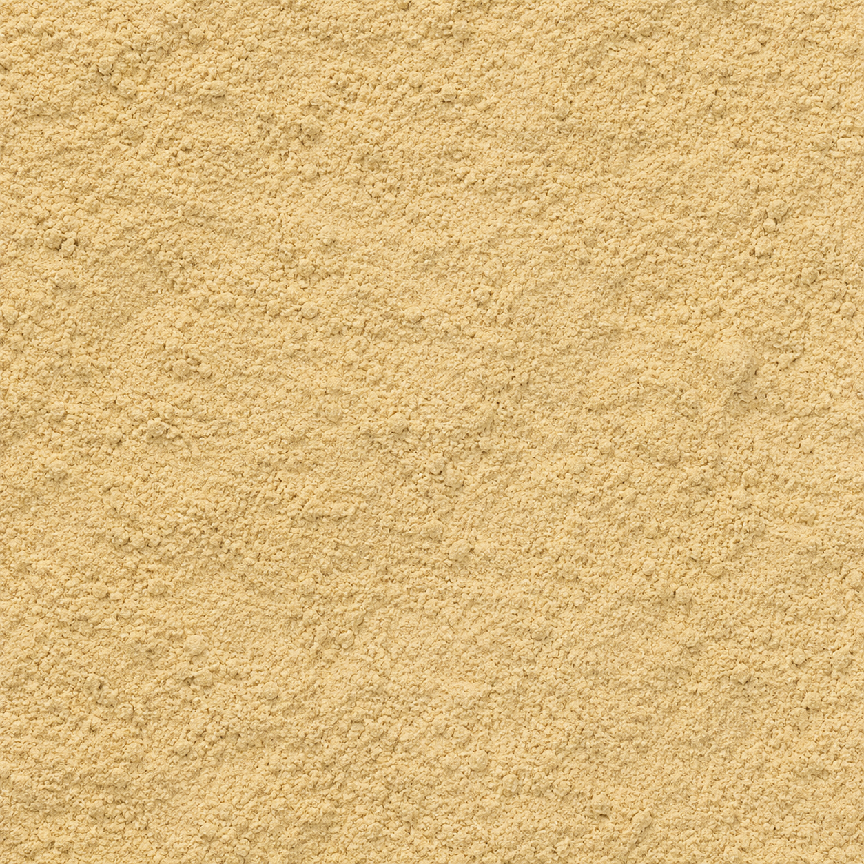 Angelica Root Powder
