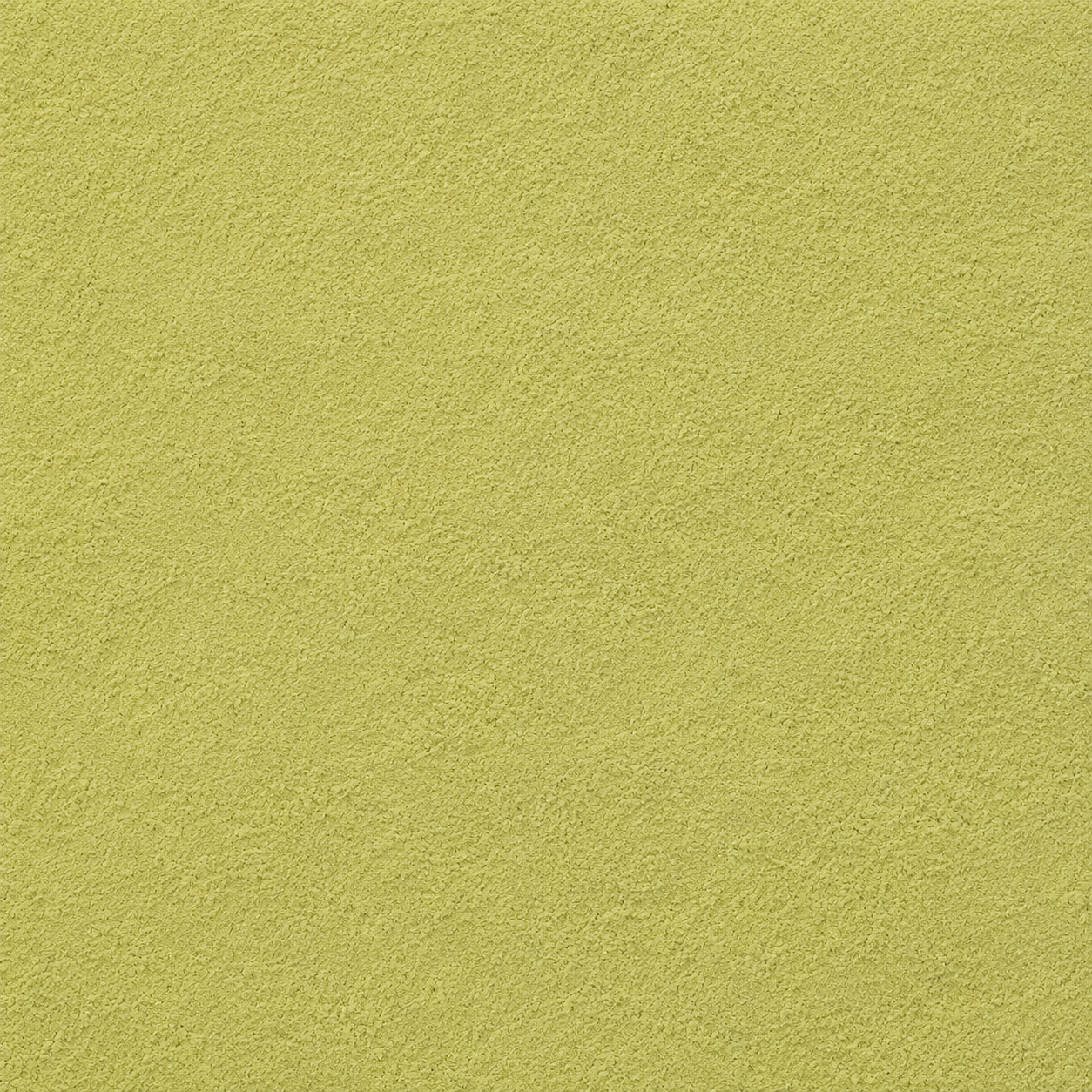 Artichoke Leaves Powder