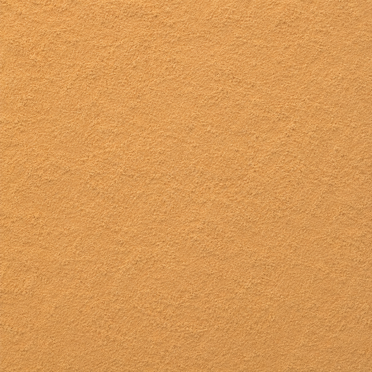 Ashoka Tree Bark Powder