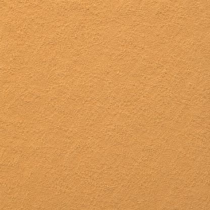 Ashoka Tree Bark Powder