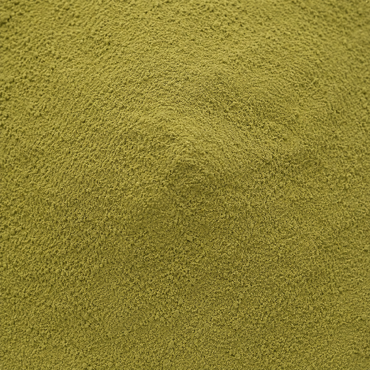 Bhui Amla or Chanca Piedra Powder