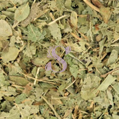 Billberry Leaves C/S