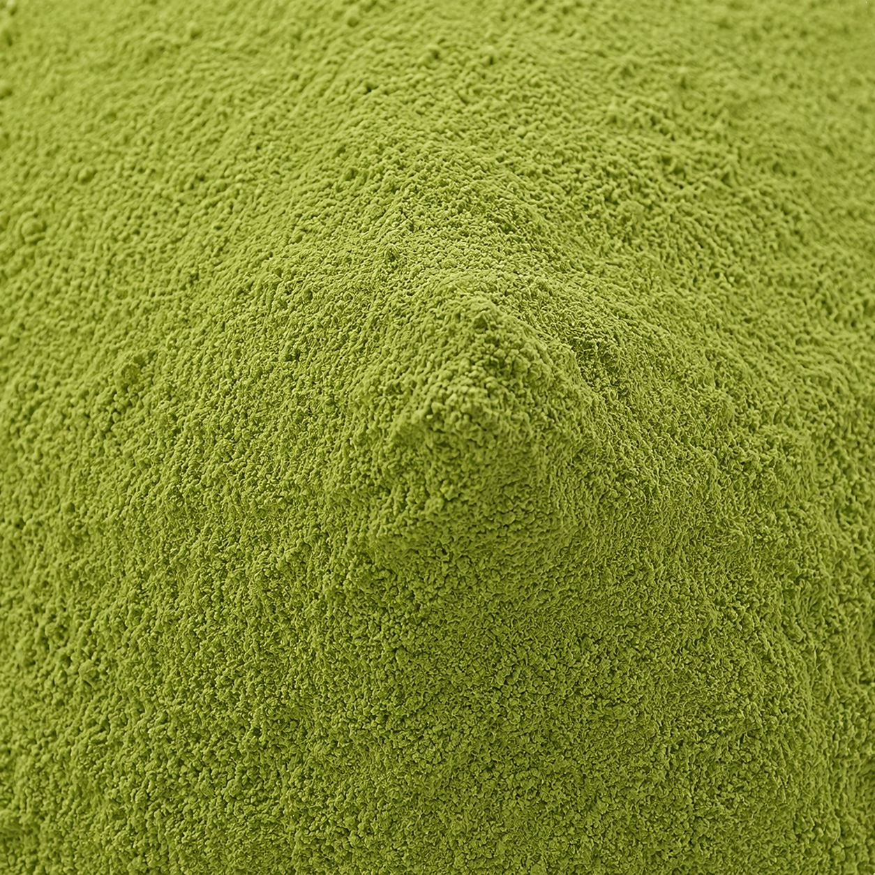 Bitter Melon Powder