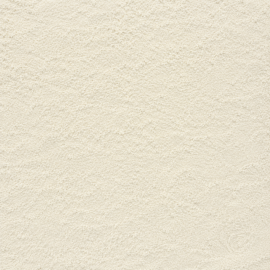 Boswellia Powder Extract- 65%