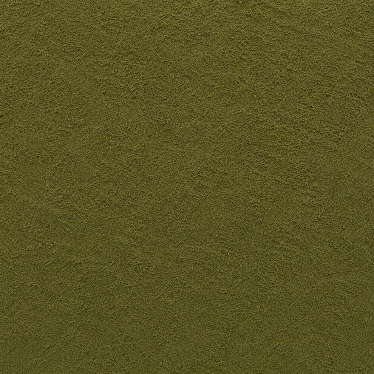 Butcher's Broom Powder