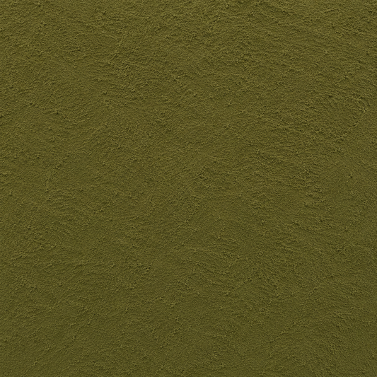 Butcher's Broom Powder