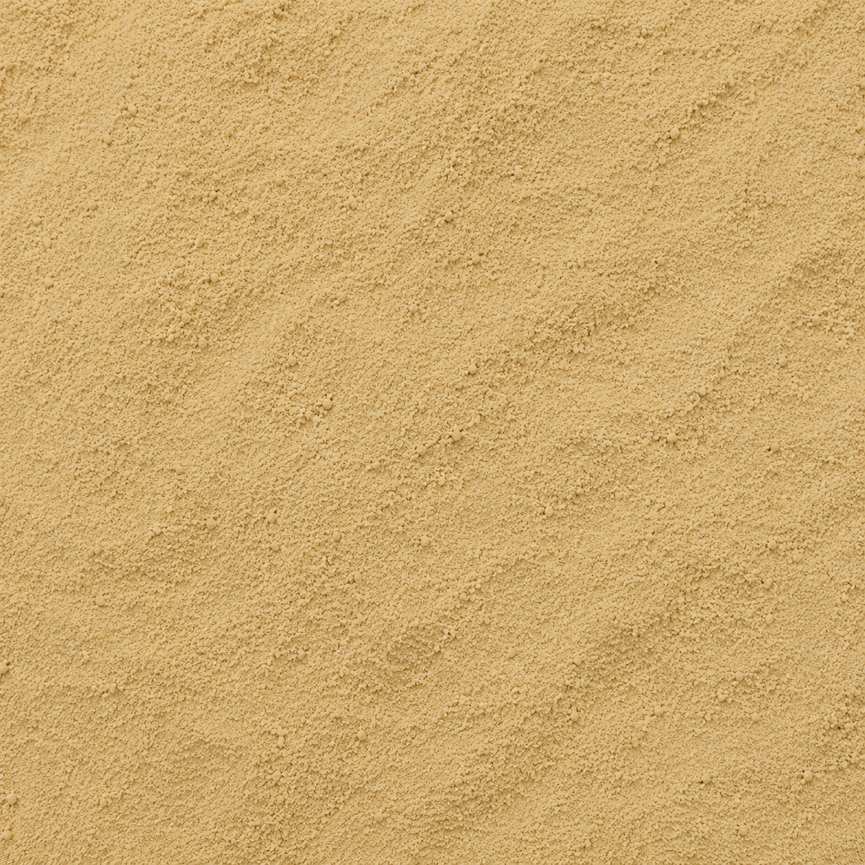 Calamus Root Powder