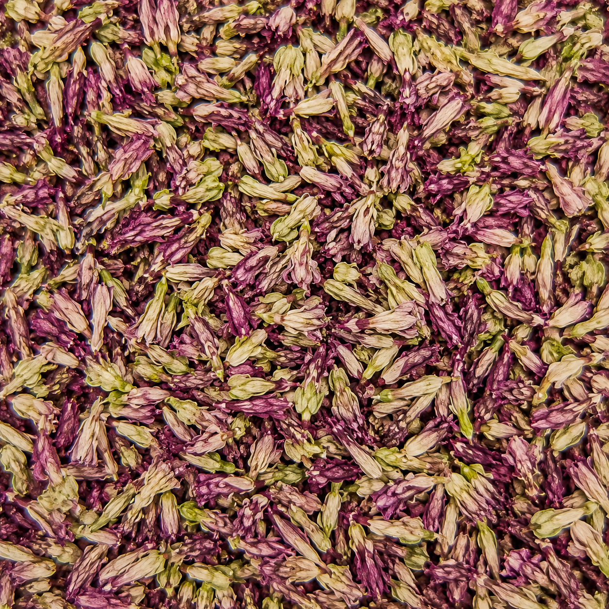 Amaranth Petals