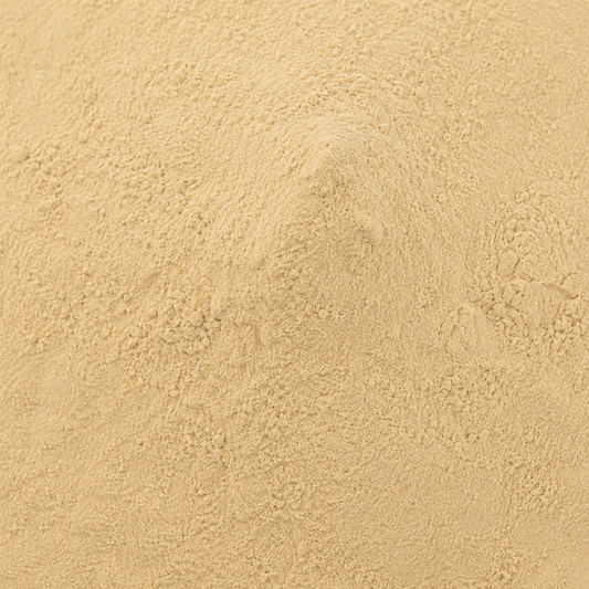 Shatavari Powder (Asparagus Racemous)