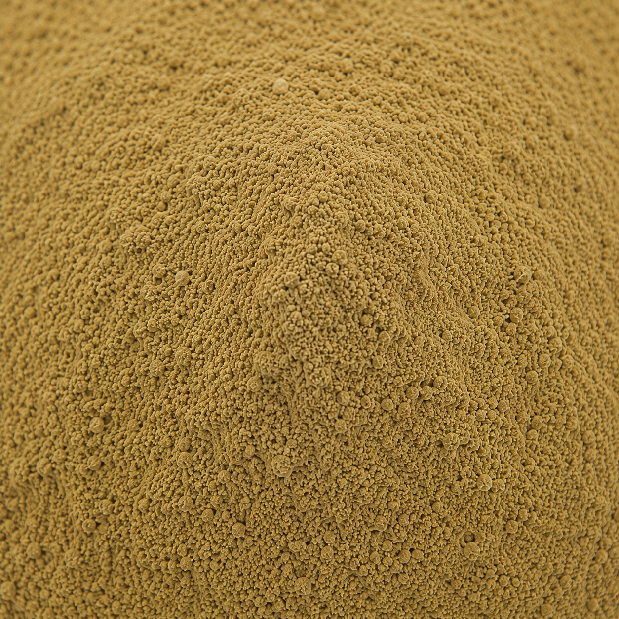 Triphala Powder