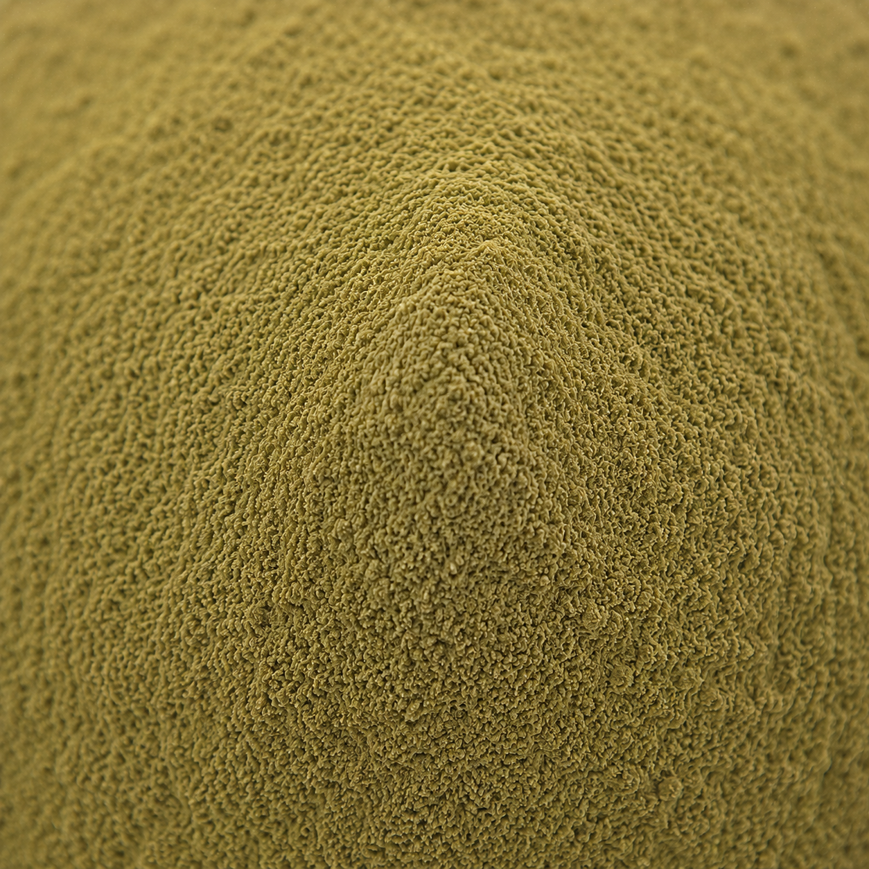 Wormwood Herb Powder
